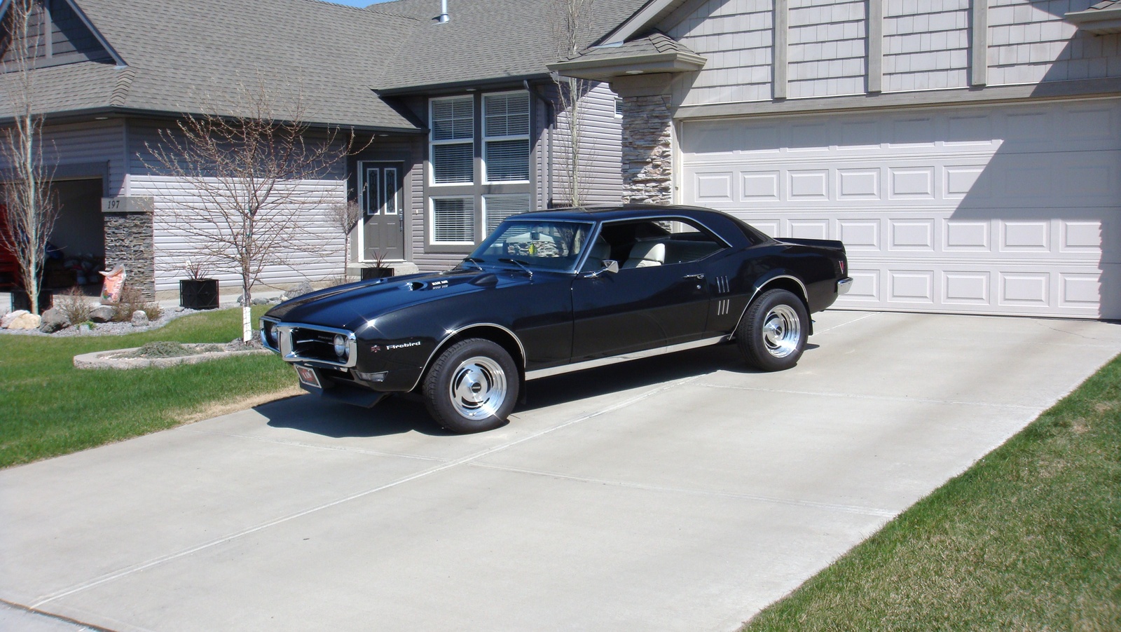 What's Your Dream Car? - Page 3 1968-pontiac-firebird-pic-63696