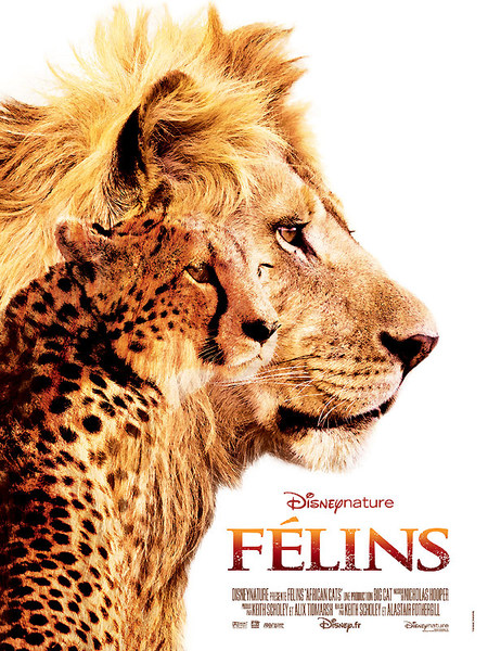 Félins - Keith Scholey, Alastair Fothergill FELINS