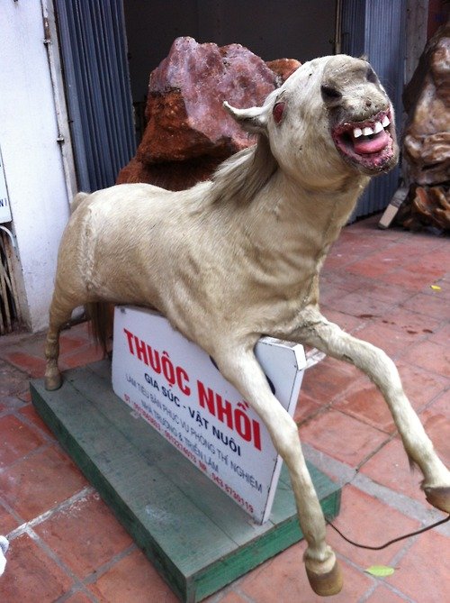 Mátame, camión! (El Tópic de la Taxidermia Chunga) - Página 4 Bad_0b6fe0_5480866