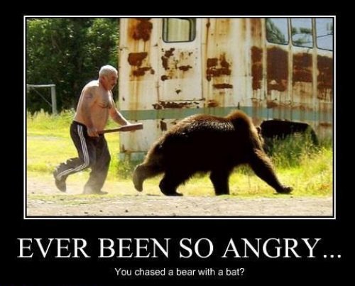 Bears get angry too You_93d6fe_2408109