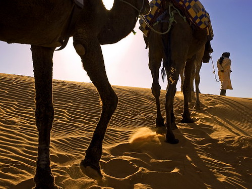 السياحة الصحراوية بالمغرب 163114560_6898a8d316