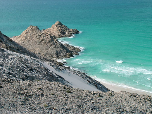 صور للسواحل اليمنيه Coast_at_qal_nsiyah_socotra_archipelago_yemen_IUCN_david_sheppard-6680