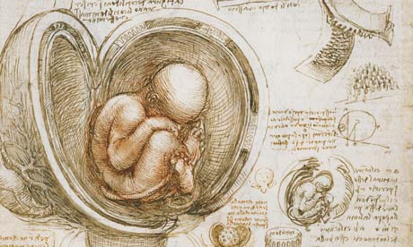 Leonardo, the Turin Shroud and the Mona Lisa Studies-of-the-foetus-in--008
