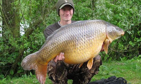 Benson the 29kg fish dies Benson-the-giant-carp-die-001