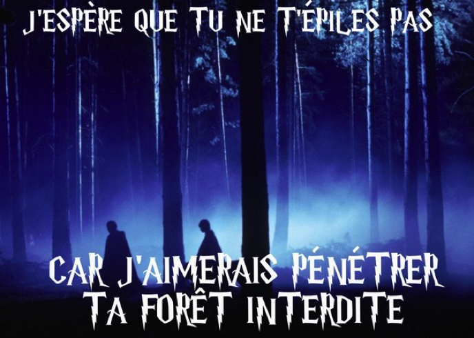 Images insolites - Page 3 Drague-harry-potter-14