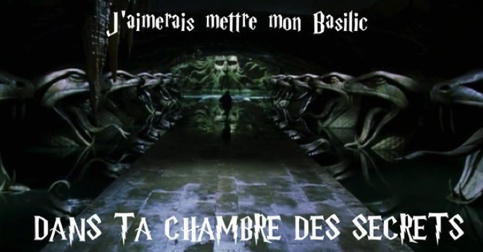 Images insolites - Page 3 Drague-harry-potter-3