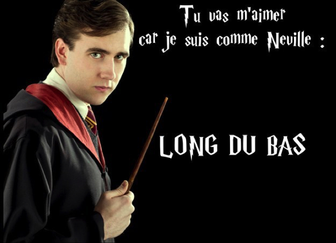 Images insolites - Page 3 Drague-harry-potter-9