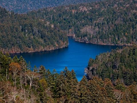 Missing Japanese boy left in mountains by parents 'as punishment' Japan-mountains-1