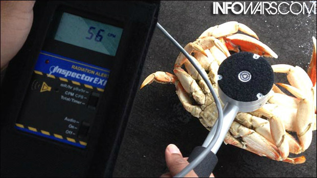 RADIATION READINGS NEAR SAN FRANSICO CA. -- Halfmoon Bay Crab56CPMRadiation2