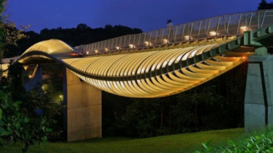  : ثعبان سنغافورة يعتبر أجمل جسر مشاة في العالم Be029c2b792e7352404cab38245fb59c