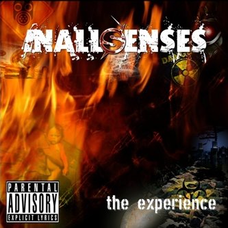 Inallsenses - The Experience 2008 195750