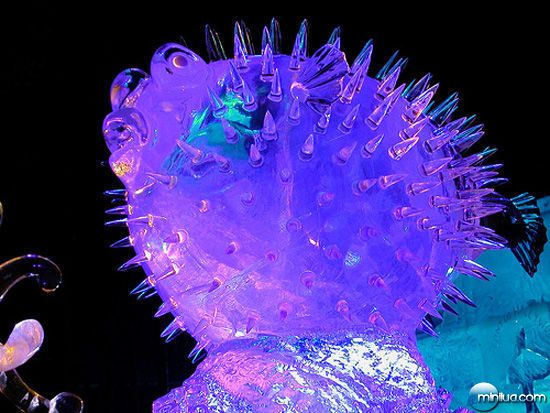 Incríveis e belíssimas esculturas de gelo Icesculptures30