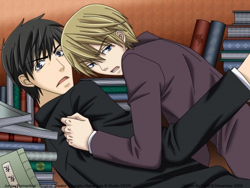 Junjou Romantica 366975