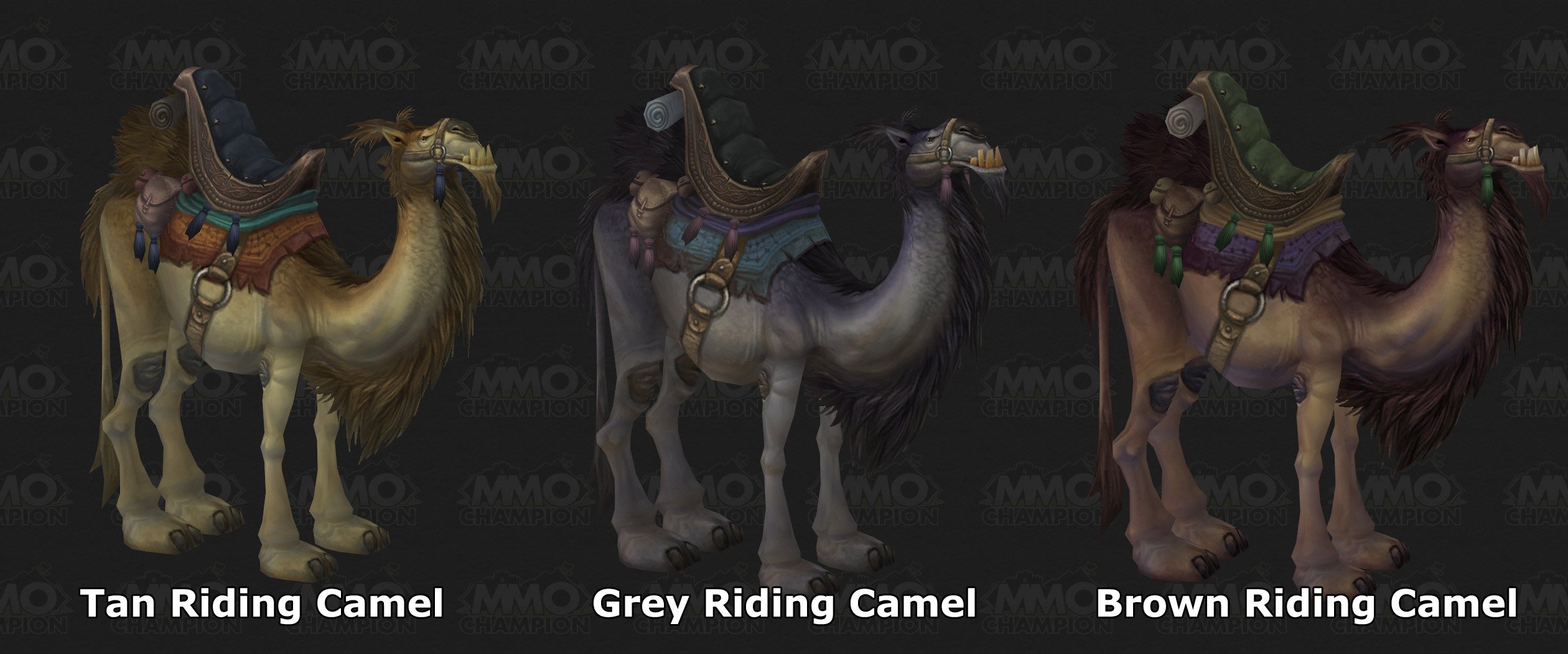 Nuevos dragones cataclysm  Ridingcamels