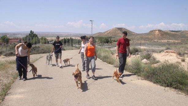 Los mejores amigos del perro Perros6_jpg_20110615184806_1