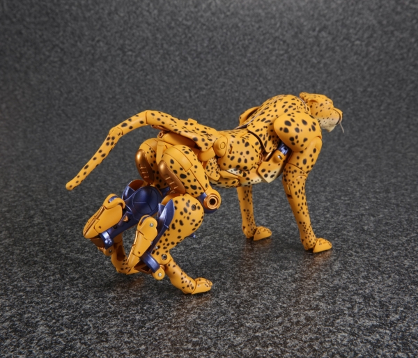 [Masterpiece] MP-34 Cheetor/Vélocitor et MP-34S Shadow Panther (Beast Wars) 1470395826-mp-cheetor-09