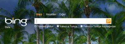 Devlet, Google Yapabilir mi? Bing1259499803