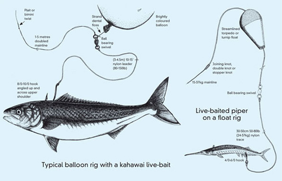 Balloon Float Rig for Live Bait From Shore 356797