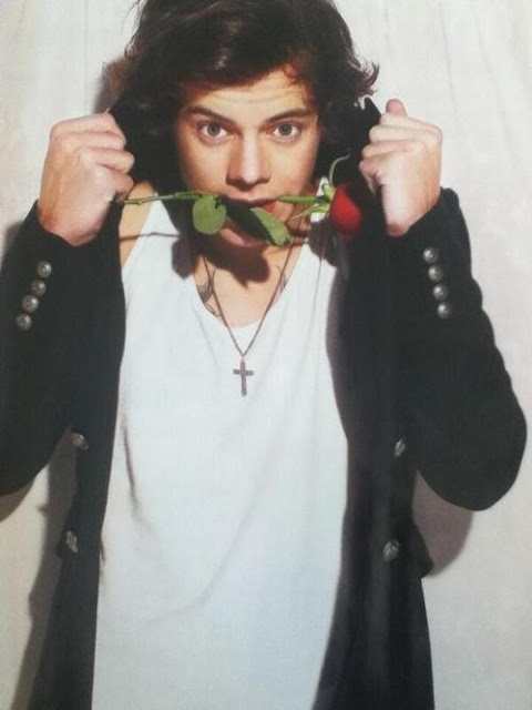 Crazy In Love (Harry Styles y Tu) Tumblr_static_harry_styles_rose_photoshoot