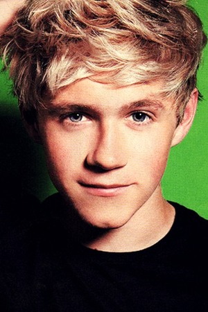 One Dream ♥ One Direction Niall-horan-profile