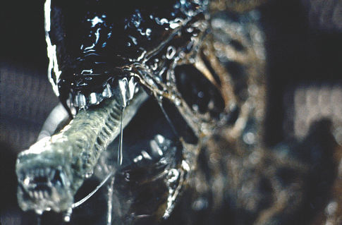 Aliens Vs Depredador 1979_alien_give_us_a_kiss