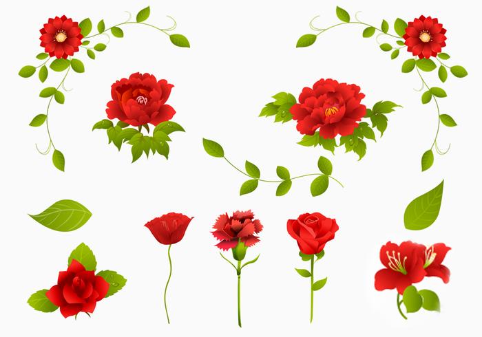 >>>>> Y un rojo, rojo clavel ... <<<<< - Página 4 Red-rose-carnation-and-flower-vector-pack