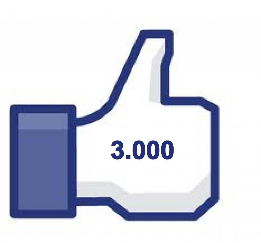 Clanovi Foruma Diskusija - Page 18 3000-facebook-likes