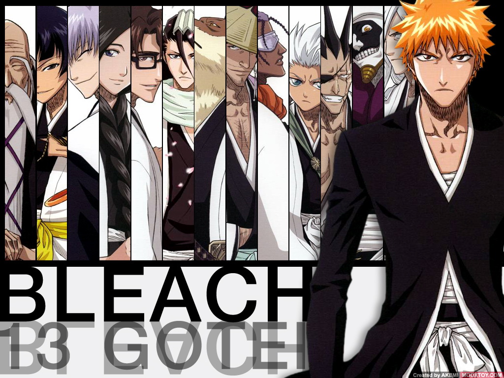  جميع حلقات الأنمي الأسطوري Bleach على التورنت BLEACH.full.51944