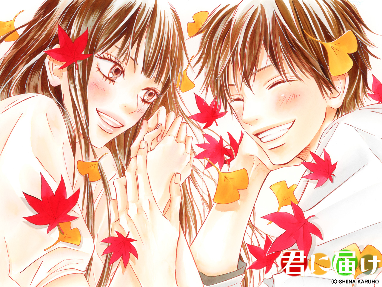 Kimi ni Todoke Kimi.ni.Todoke.full.68492