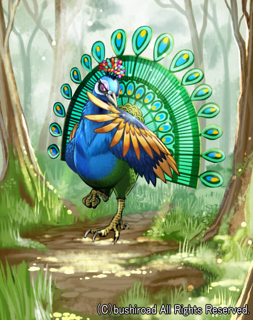Alexis Summoning - Peacock Protector.Peacock.full.1402751