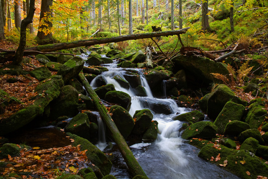 Kleiner Fluss im Wald (Herbstebene) 10_2c8991f4d8e76cee490ecec2815a8b1e