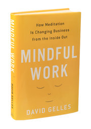 Mindful Work - excerpt from new book by my friend David Gelles 01AETNAjp2-master180