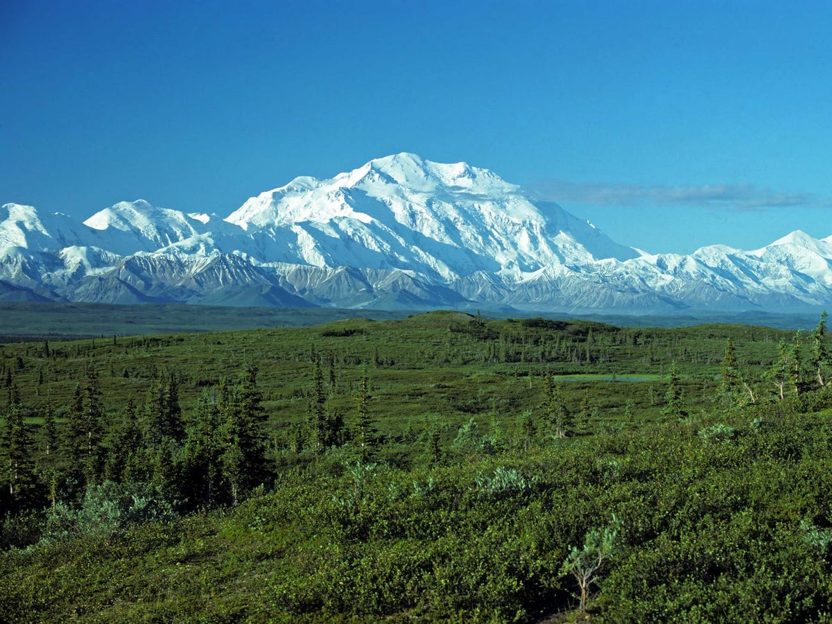 The Best Tourist Attraction In Every State Alaska-visit-denali-national-park-to-see-a-stunning-array-of-wildlife-and-gaze-at-mt-mckinley-the-highest-mountain-peak-in-north-america-with-an-elevation-of-20237-feet