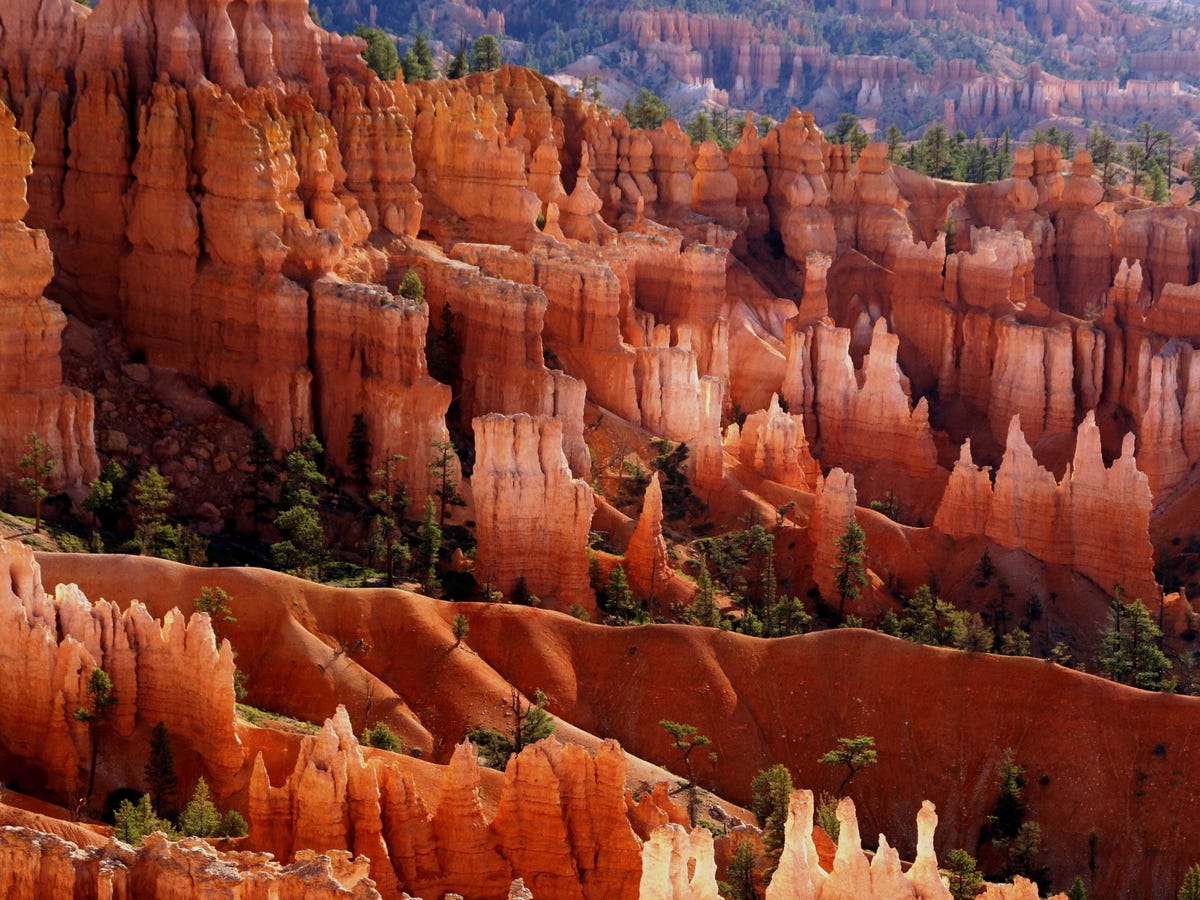 The Best Tourist Attraction In Every State Utah-behold-the-hoodoos-of-bryce-canyon-national-park-these-unique-rock-formations-are-created-by-weather-and-stream-erosion