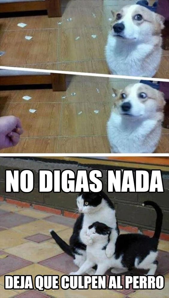 IMAGENES GRACIOSAS - Página 3 Nunca-fue-el-perro