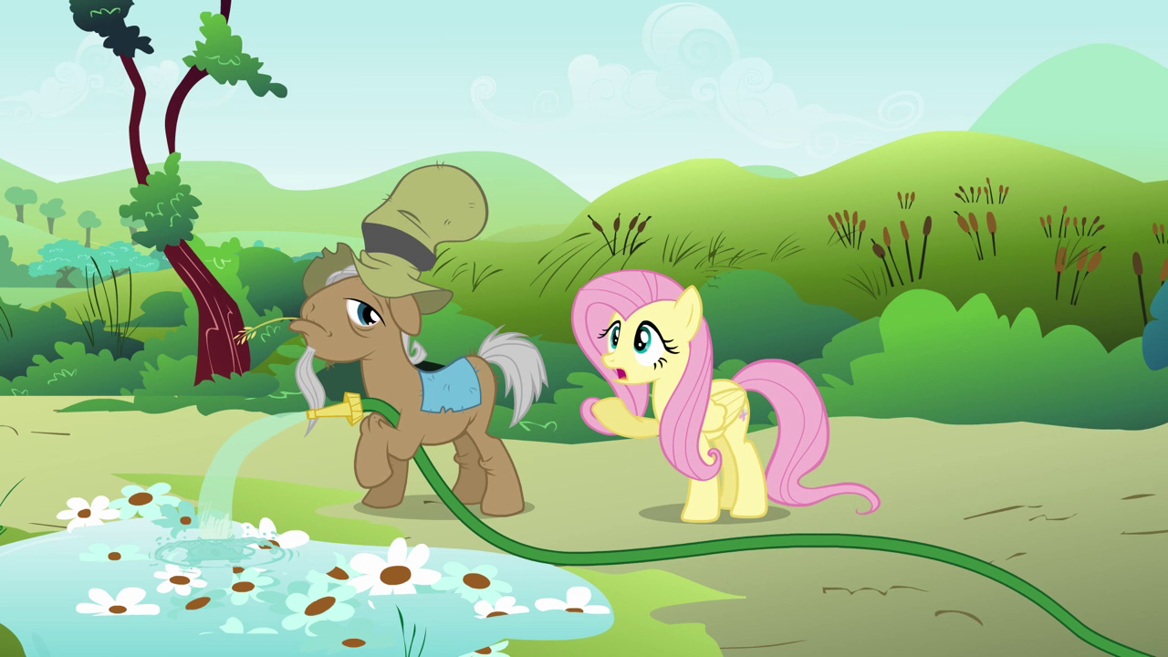 sr.greenhooves imagens Fluttershy_talking_to_Mr._Greenhooves_S2E19