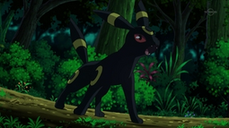 Pokemon Ninja Geracion(Episodios) 255px-EP764_Umbreon_de_Virgil