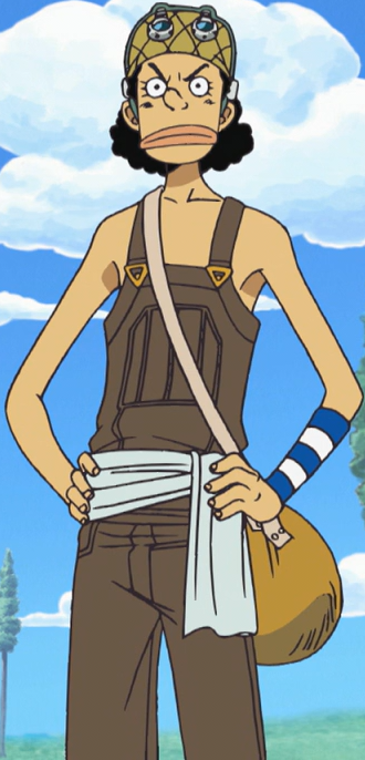 date Usopp_Anime_Pre_Timeskip_Infobox