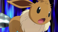 Pokemon Ninja Geracion(Episodios) 200px-EP770_Eevee_usando_cola_f%C3%A9rrea