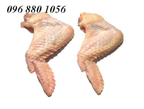 Thịt gà đông lạnh: cánh gà, chân gà, đùi gà... 1415413747923879223