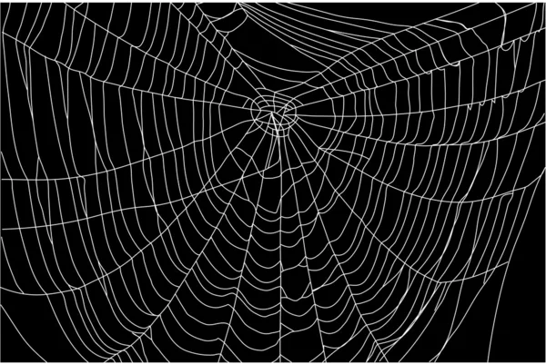 [CI:Crónicas de ESS] -= Muere anabel, ahora te vas sol >=D=- - Página 3 Dep_3472196-Spider-Web