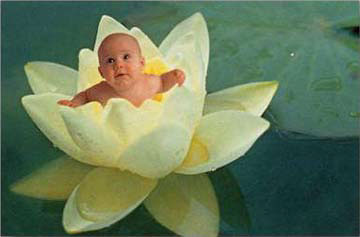 Foto bebushi.... - Faqe 3 Anne-Geddes-067