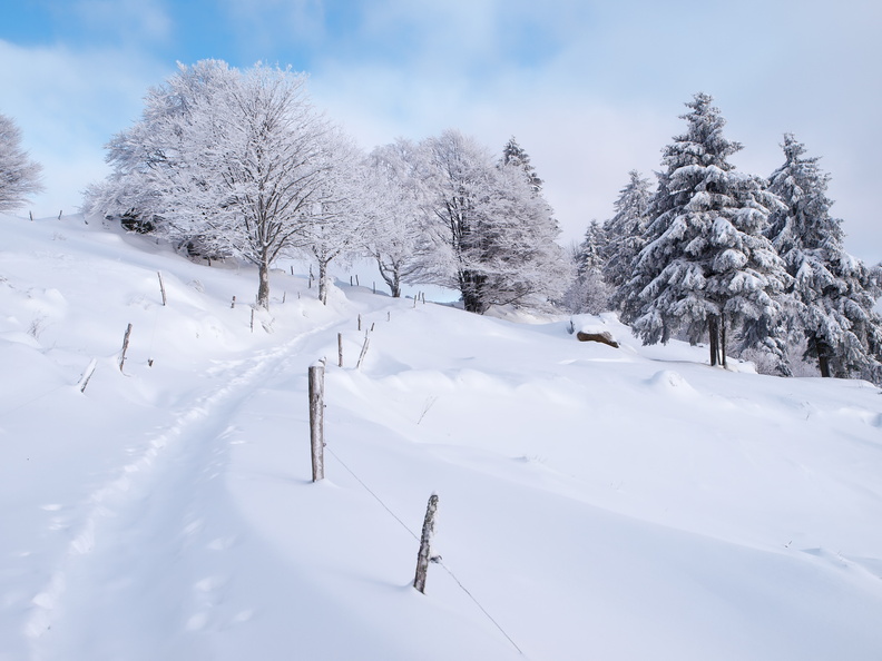 Balade dans les Vosges 20121209160112-4f86a509-me