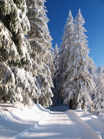 Balade dans les Vosges 20121211105430-bb3c778c-me