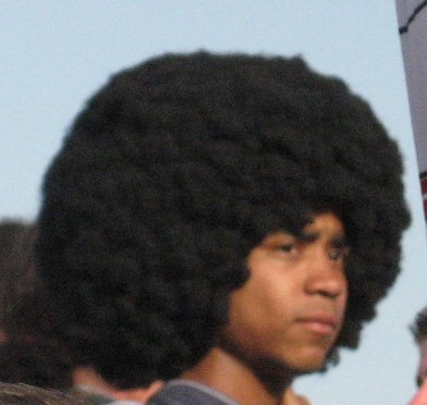 ¿Alguien se dio cuenta de que... Afro