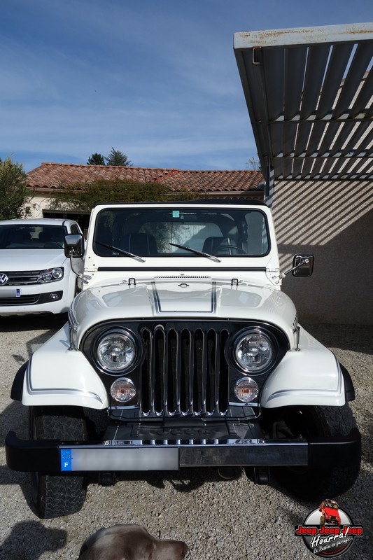 [1982 CJ7 LAREDO] et voici ... "El Blanco" DSC00283