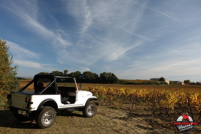 [1982 CJ7 LAREDO] et voici ... "El Blanco" DSC00348