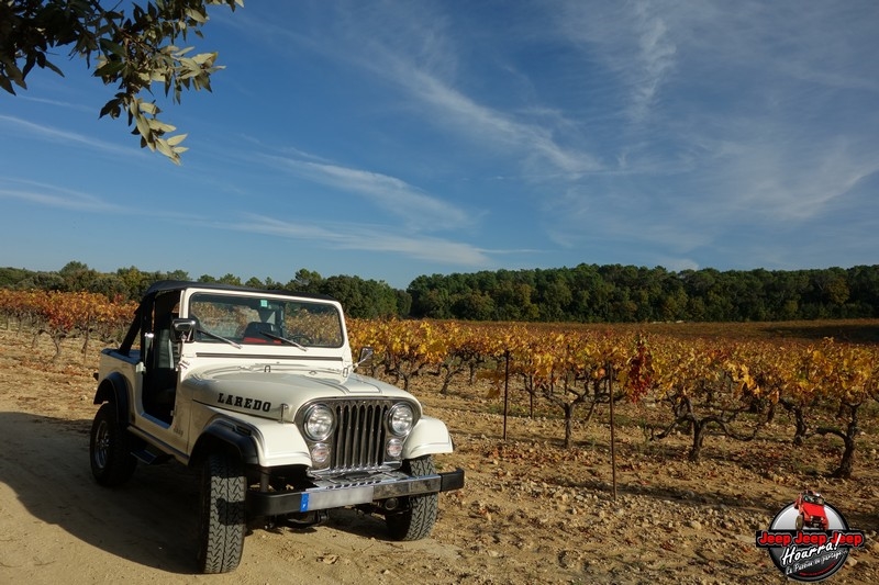 [1982 CJ7 LAREDO] et voici ... "El Blanco" DSC00353