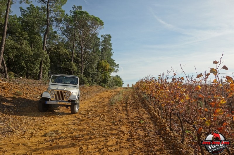 [1982 CJ7 LAREDO] et voici ... "El Blanco" DSC00357