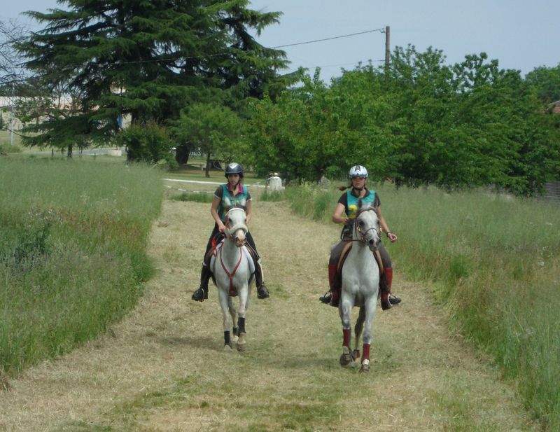 Aïnhoa Enfin, premières saillies 64290114